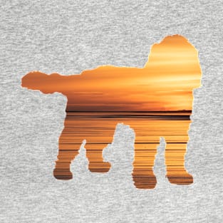 Cockapoo Sunset T-Shirt